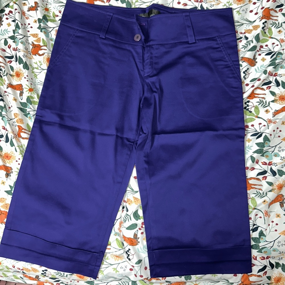 (NWT) Violet Capris Pants size M